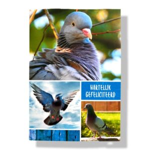 10 Wenskaarten | Hartelijk gefeliciteerd | Dieren | 11x17cm | incl. Envelop | HG15.4.8