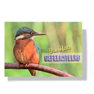 10 Wenskaarten | Hartelijk gefeliciteerd | Dieren | 11x17cm | incl. Envelop | HG15.4.9