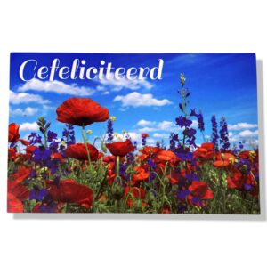 10 Wenskaarten | Hartelijk gefeliciteerd | Bloemen | 11x17cm | incl. Envelop | HG16.3.2
