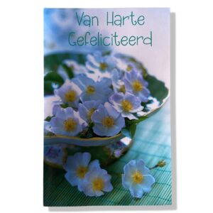 10 Wenskaarten | Hartelijk gefeliciteerd | Bloemen | 11x17cm | incl. Envelop | HG16.3.9