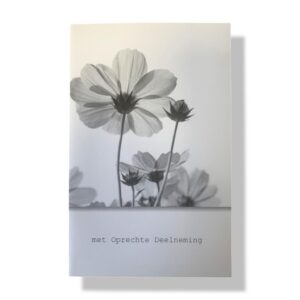 10 Wenskaarten | Oprechte deelneming | 11x17cm | incl. Envelop | OD7.2.5