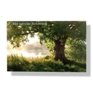 10 Wenskaarten | Oprechte deelneming | 11x17cm | incl. Envelop | OD7.5.7