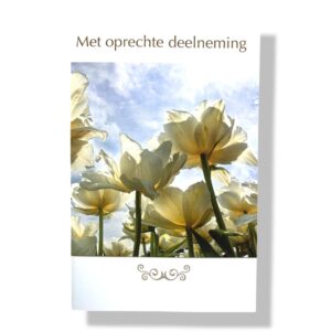 10 Wenskaarten | Oprechte deelneming | 11x17cm | incl. Envelop | OD8.1.2