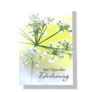 10 Wenskaarten | Oprechte deelneming | 11x17cm | incl. Envelop | OD8.1.9