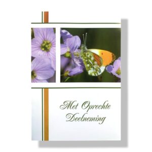 10 Wenskaarten | Oprechte deelneming | 11x17cm | incl. Envelop | OD8.2.2