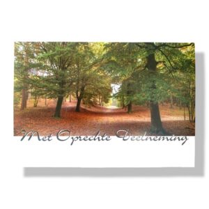 10 Wenskaarten | Oprechte deelneming | 11x17cm | incl. Envelop | OD8.4.6