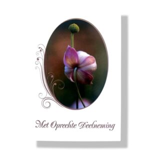 10 Wenskaarten | Oprechte deelneming | 11x17cm | incl. Envelop | OD8.4.9