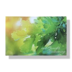 10 Wenskaarten | Oprechte deelneming | 11x17cm | incl. Envelop | OD7.3.4