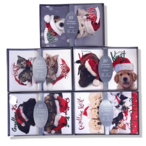 40 Kerstdozen Populair - Friends - 5 x 8 dozen
