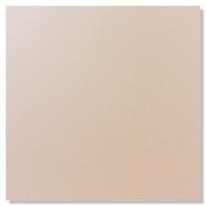 Chamois - 10 vellen - Scrapbook Linnenkarton - 240 gsm - 305x305mm